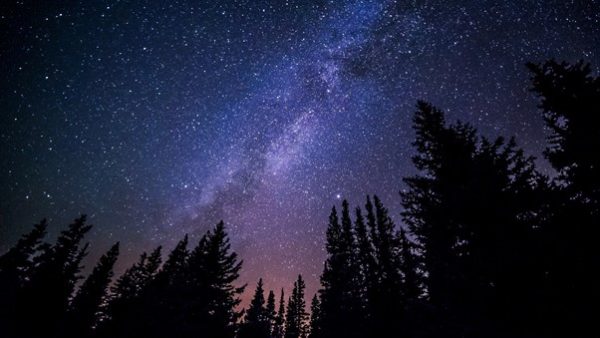 A Plea for a Principled Approach to International Environmental Governance