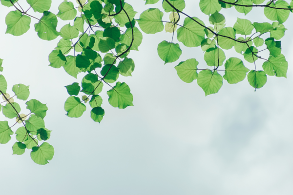 Takeaways from UNEA 5.1 for the 2022 declaration