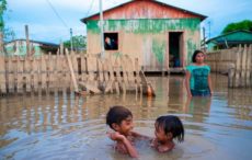 The Human Right to a Healthy Environment: Protecting Life on Earth