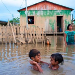 The Human Right to a Healthy Environment: Protecting Life on Earth