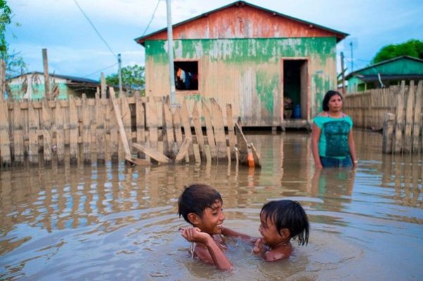 The Human Right to a Healthy Environment: Protecting Life on Earth