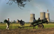 2022 And a New Path for Environmental Law in the Global Economy