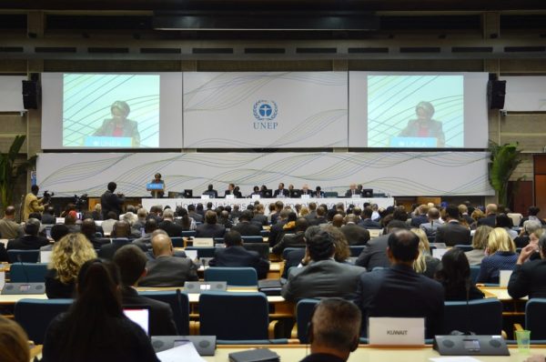 Takeaways from UNEA 5.1 for the 2022 declaration