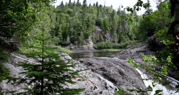 Giving rights to nature : national developments entitling nature with subjective rights