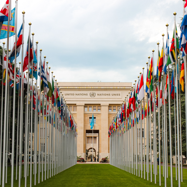 UNEP adopted a High-Level Political Declaration