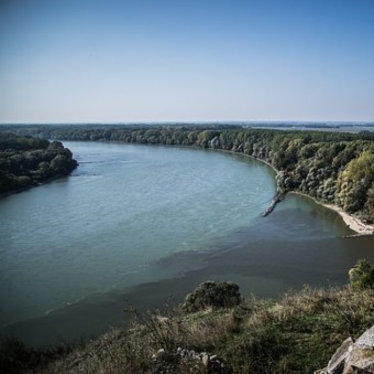 The Contribution of Transnational Environmental Rules and Standards to Realisation of the Human Right to a Healthy Environment