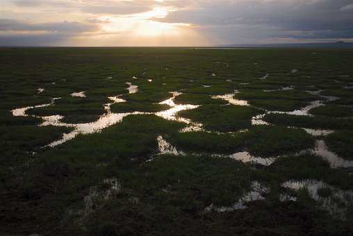 Addressing the Triple Crisis (Climate, Biodiversity and Pollution): Non-regression and Harmony With Nature