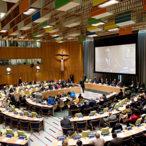 The Repurposed UN Trusteeship Council for the Future