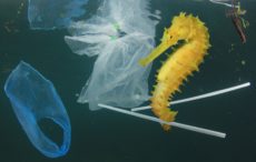 Scoring a Goal for Latin America and the Caribbean in Plastic Pollution Talks