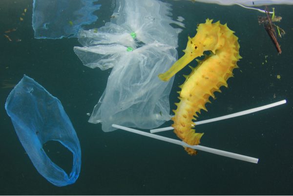 Scoring a Goal for Latin America and the Caribbean in Plastic Pollution Talks