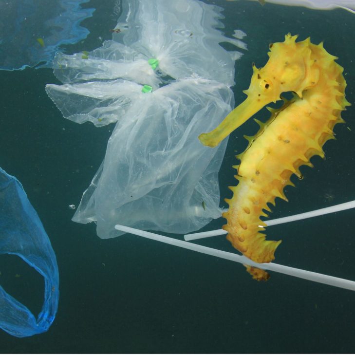 Scoring a Goal for Latin America and the Caribbean in Plastic Pollution Talks