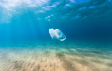Scoring a Goal for Latin America and the Caribbean in Plastic Pollution Talks
