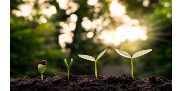 A Fresh New Start: The Green Diplomacy Blog