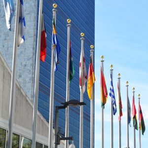The Repurposed UN Trusteeship Council for the Future