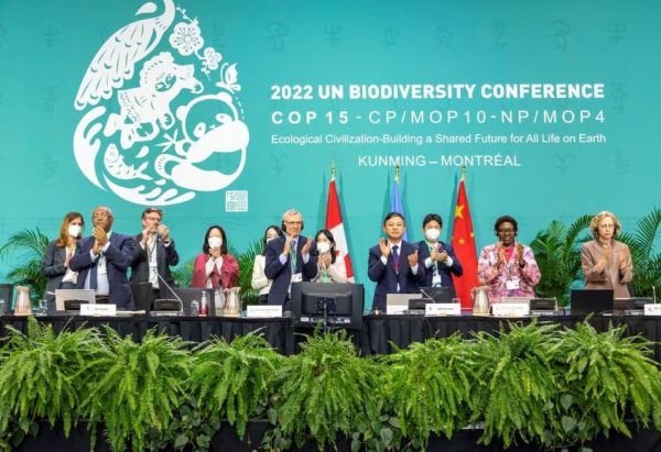 COP15: Historic Agreement on a new Global Biodiversity Framework