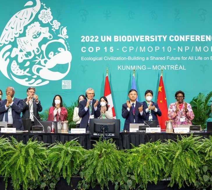 COP15: Historic Agreement on a new Global Biodiversity Framework