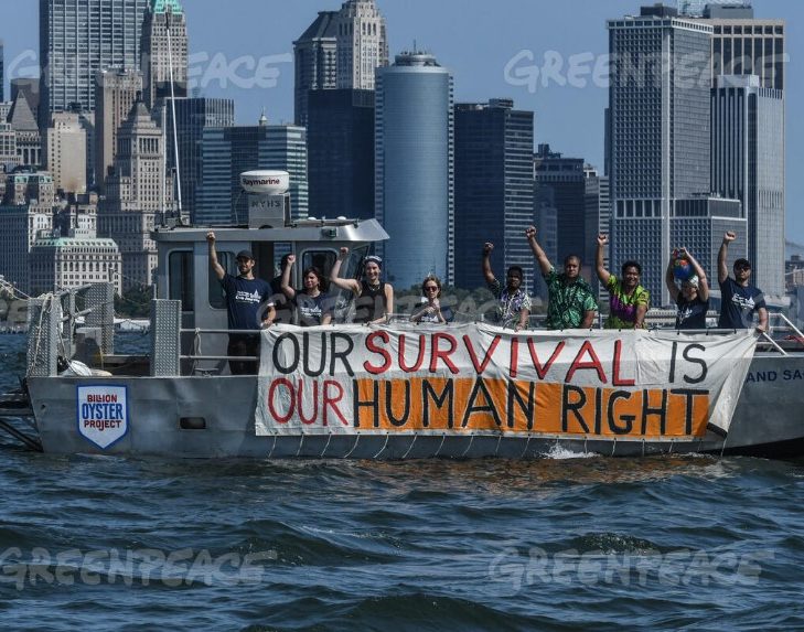 A Final Draft for the ICJ Advisory Opinion on Human Rights and Climate Change