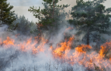 Global Climate Change as a Planetary Concern: A Wake-Up Call for the Decision-makers