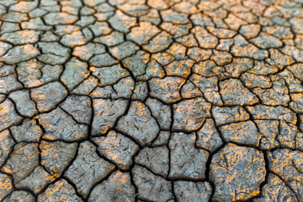 Climate change and the advisory function of international courts and tribunals