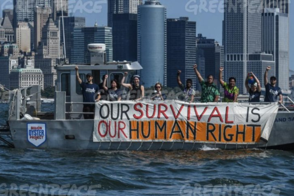 Climate change and the advisory function of international courts and tribunals