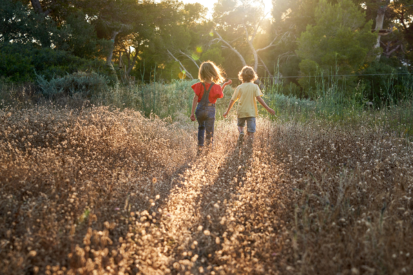 Publication of the Committee on the Rights of the Child's general comment n°26 on children’s rights and the environment