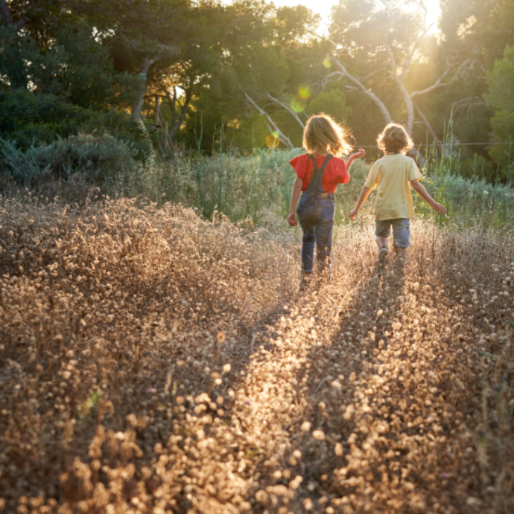 Publication of the Committee on the Rights of the Child's general comment n°26 on children’s rights and the environment