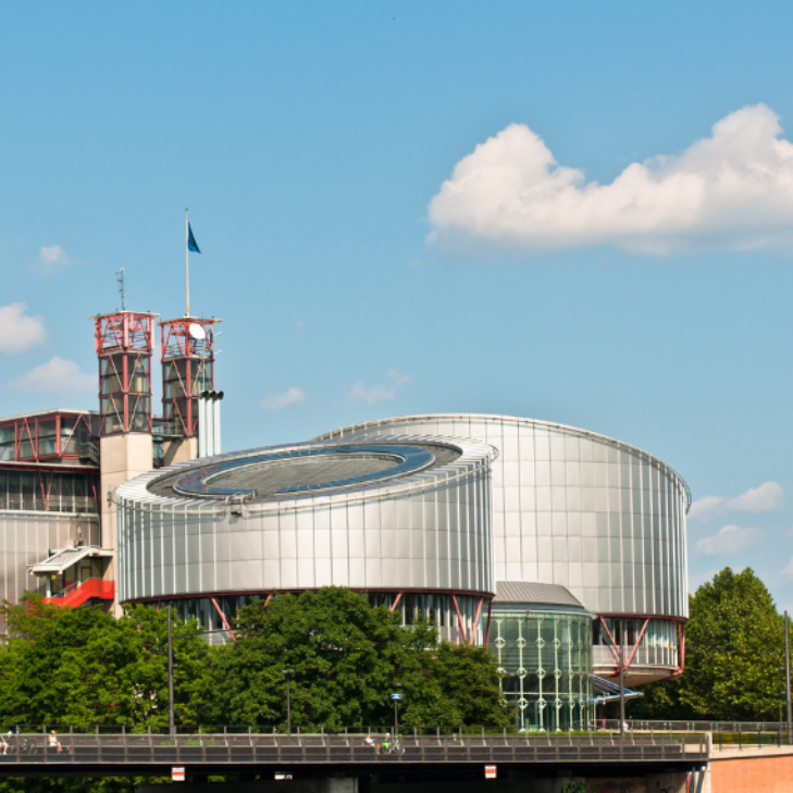 Climate-related cases before the European Court of Human Rights