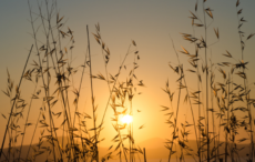 The Audacity of Hope for People and Planet: 2023 New York SDG Summit Outcome and Beyond: Part – II