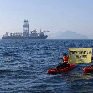 Ocean Rights: A Citizen Tide in the Face of Diplomatic Silence