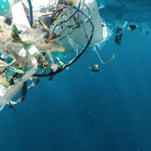 After UNOC 3: For a Protocol on Plastic Pollution in the Mediterranean Sea