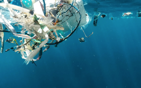 After UNOC 3: For a Protocol on Plastic Pollution in the Mediterranean Sea