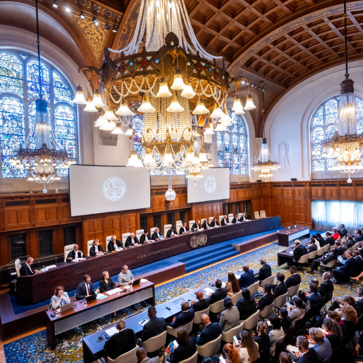 Call for Papers: The Role of International Courts and International Institutions in Promoting and Advancing Environmental Rights